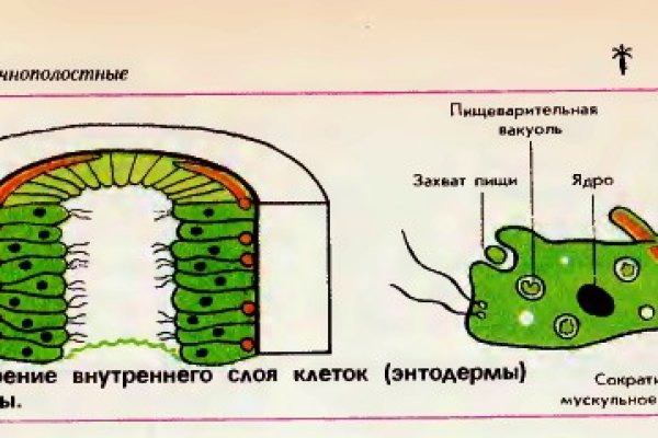 Кракен через обычный браузер