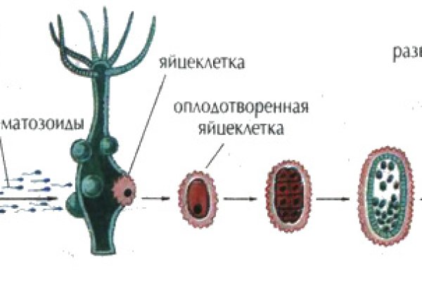 Кракен онион kraken014 com