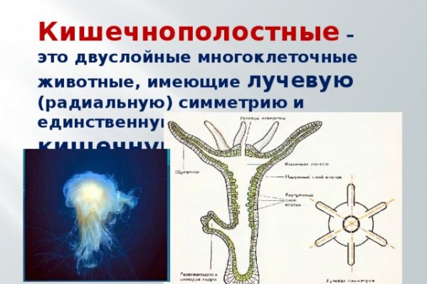 Кракен kr2web in магазин