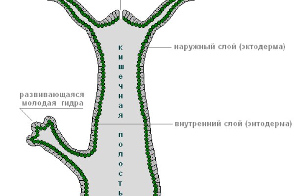 Где найти рабочую ссылку кракен